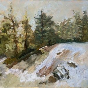 Oil Painting - Evergreen. Landscape